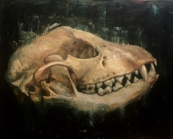Skull 46 x 58