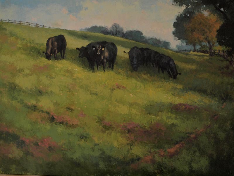 cow-pasture.jpg